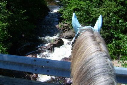 Silver qui regardait la chute avec  étonnement !!! :)