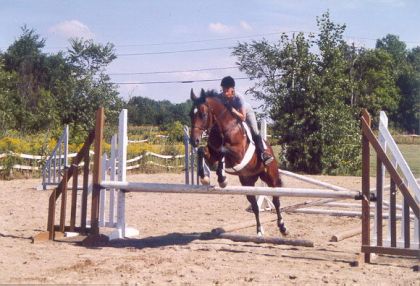 Sauit d'obstacle