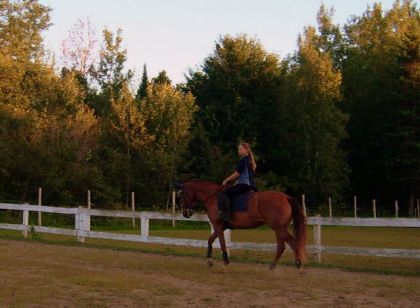 Un peu de manège se soir pour Jolly! ... :)