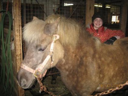 Téquila un poney du poney club 
