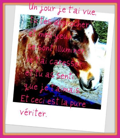 Un autre montage que jai fais d'Imoth&egrave;pe