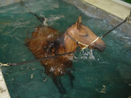 Petite baignade