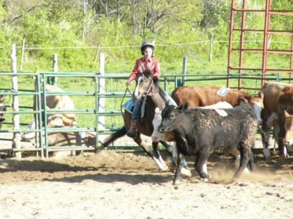 Moi & mon cheval a une compé de reining
