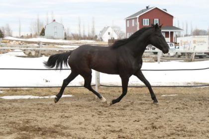 Encore son trot de débile!