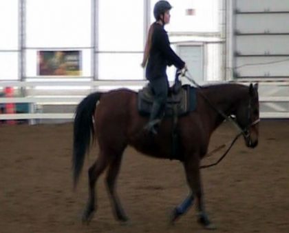 Manolo et Moi - Son trot est tellement l'enfer :) Regardez ma...