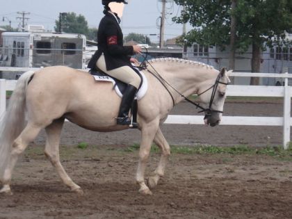 Cheval et cavalière inconnues . Jeux provinciaux du QC
