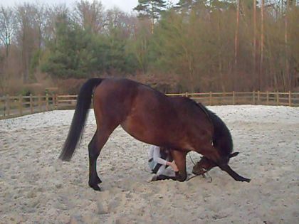 Révérence avec Etoile =)
