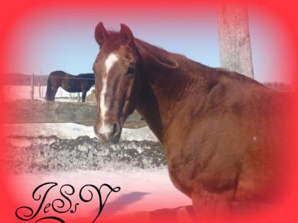 jess qui relaxe !!!