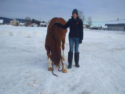 mon jack au "flancher"