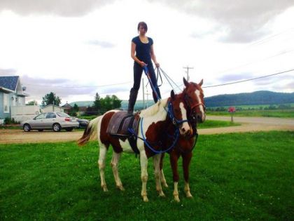 moi et mes 2 gars : paint solide (jack) et paint sorrel tobiano...