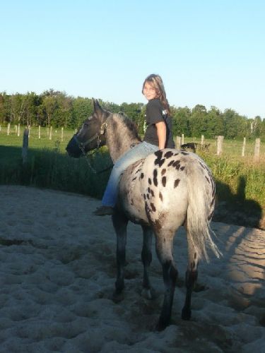 Moi et Fancy
