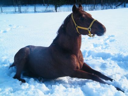 photo par Topgone Tes Magniifiique las dessu monn loppy <3