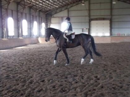 au trot