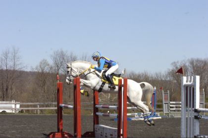 Morven Park Horse Trials, Virginie, USA, 27 mars 2010... Let's...