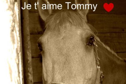 Tommy 