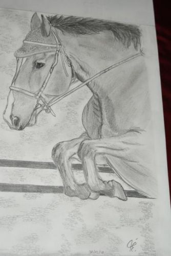 Dessin du cheval de Max17. C'est Max!