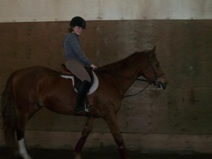 Moi et Délicat , je l'aime tellemnt ce petit cheval !
