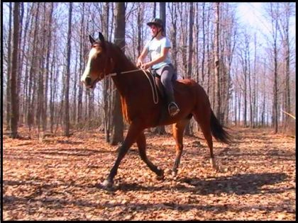 2 avril 2010 : Maude au trot avec Jazz.