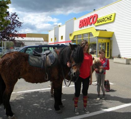 Voilà mes deux Poneys. Lors d'une pause au milieu de la balade