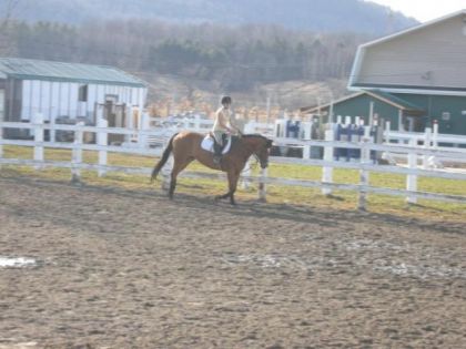 Premi&egrave;re sortie &agrave; l'ext&eacute;rieur de grosse Toune :) Flatwork :)