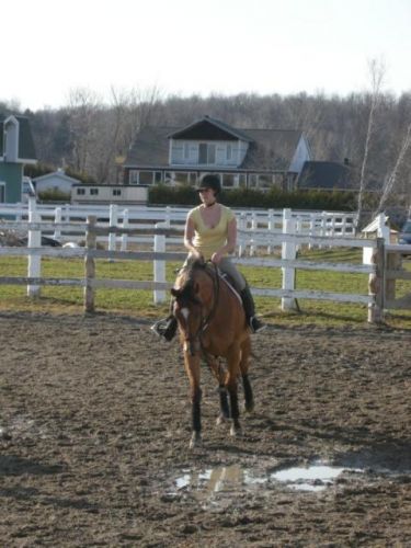 Première sortie à l'extérieur de grosse Toune :) Flatwork :)