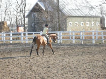 Premi&egrave;re sortie &agrave; l'ext&eacute;rieur de grosse Toune :) Flatwork :)