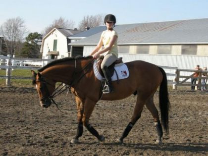 Premi&egrave;re sortie &agrave; l'ext&eacute;rieur de grosse Toune :) Flatwork :)