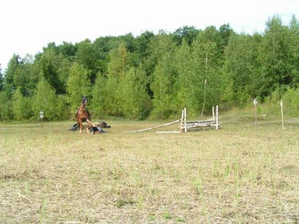 Participante moins chanceuse 2