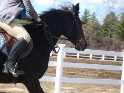 Moi et ma jument Juliette qui s'amusent  :) <3