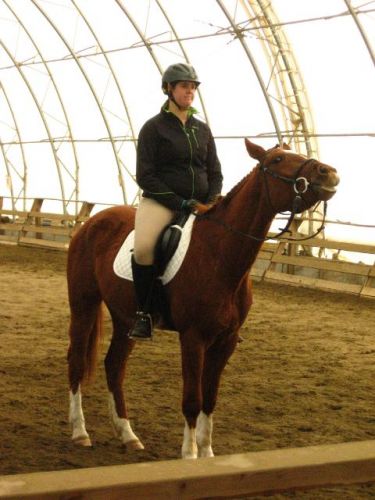 Pourquoi ne pas faire des grimaces a la juges de dressage c'est...