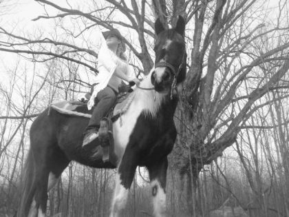 photo par kassous