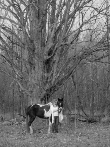 photo par kassous