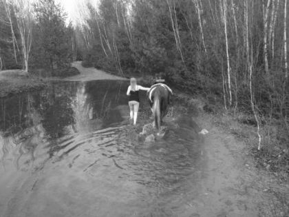 photo par kassous