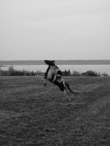 photo par kassous