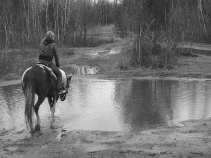 photo par kassous