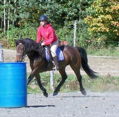 Cavalière et jument