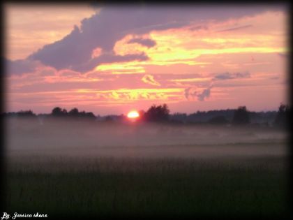 c'est pas beau la vie ?