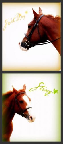 photo par apopo4life