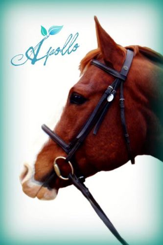 photo par apopo4life
