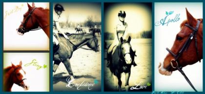 photo par apopo4life