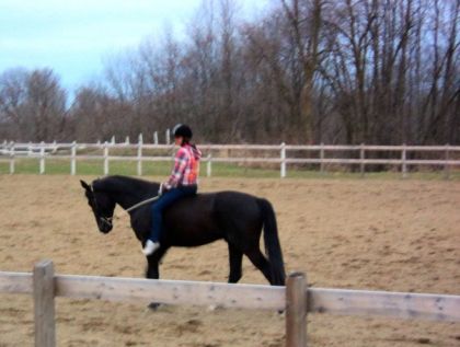 Premi&egrave;re photo &agrave; cheval aveec mon baaaby (: <3