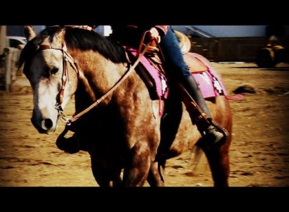 Ma jument qui se prend pour un cheval de dressage! :)