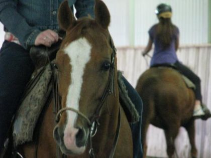 Copine &eacute;curie 1101 au cavalier 2 a mon amie