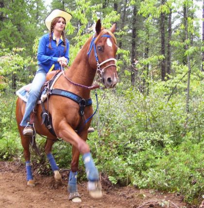 mon cheval impatien avant sa course LOl y chialait avec sa patte...