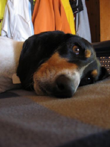 Une petite sieste...
