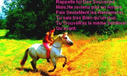 montage faite par ValeriieP