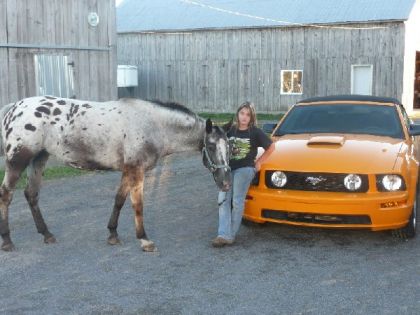 Mon cheval et le cheval a mon père.Hihihi