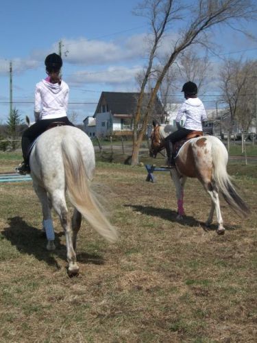chevaux synchro!!! XD 