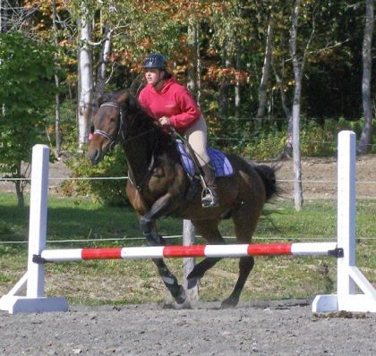 Cavalière et jument s'apprêtent à sauter