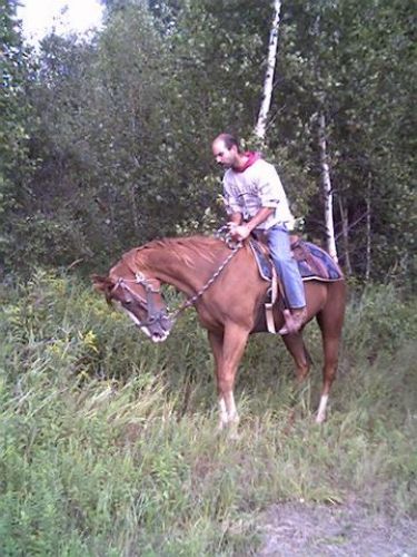 Ça fait changement un petit tour dans le bois ! :-)